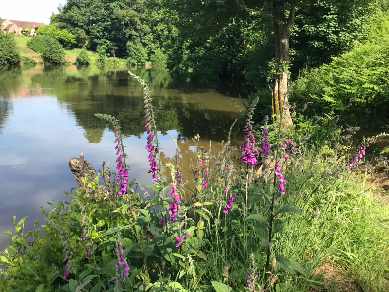 Lake