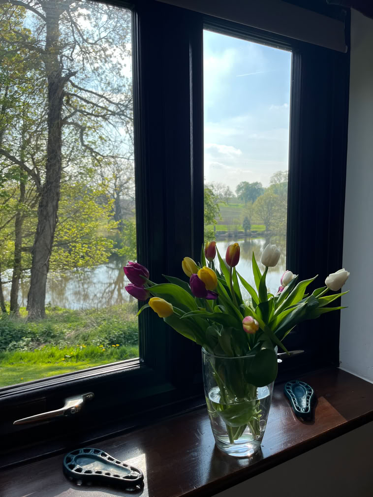 View throug cottage window