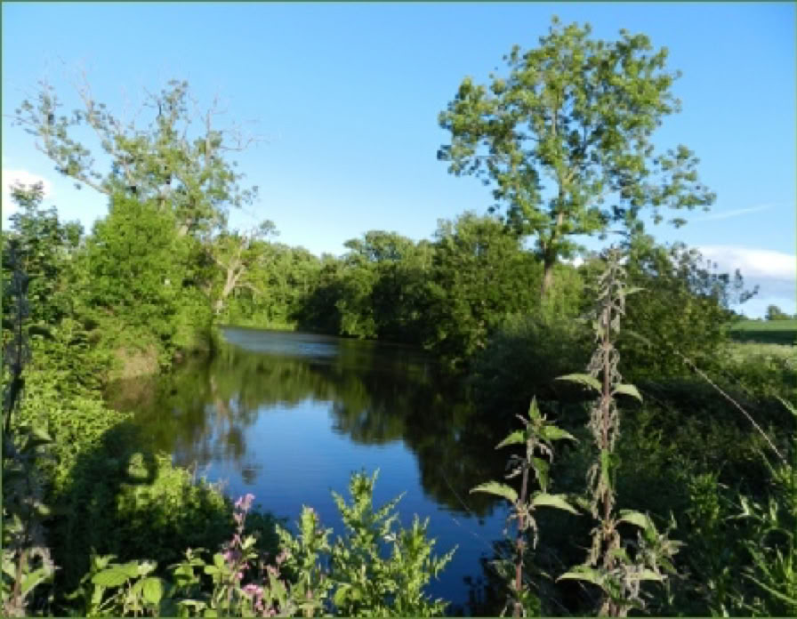 View of the Middle Pool, Hurst Farm